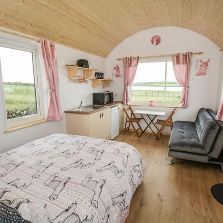 The Beautiful Lazy Llama Shepherd Hut Farm Stay Ballyshannon Bagian luar foto
