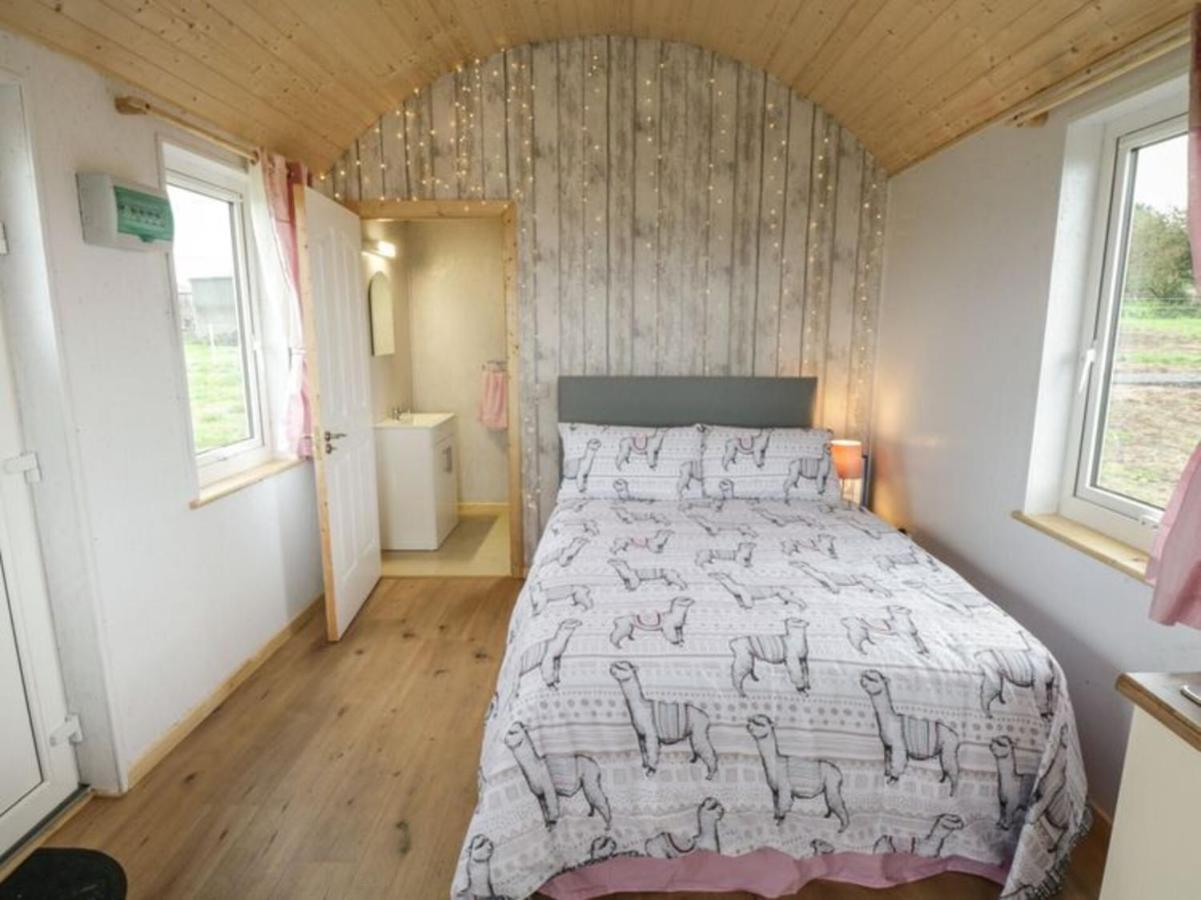 The Beautiful Lazy Llama Shepherd Hut Farm Stay Ballyshannon Bagian luar foto