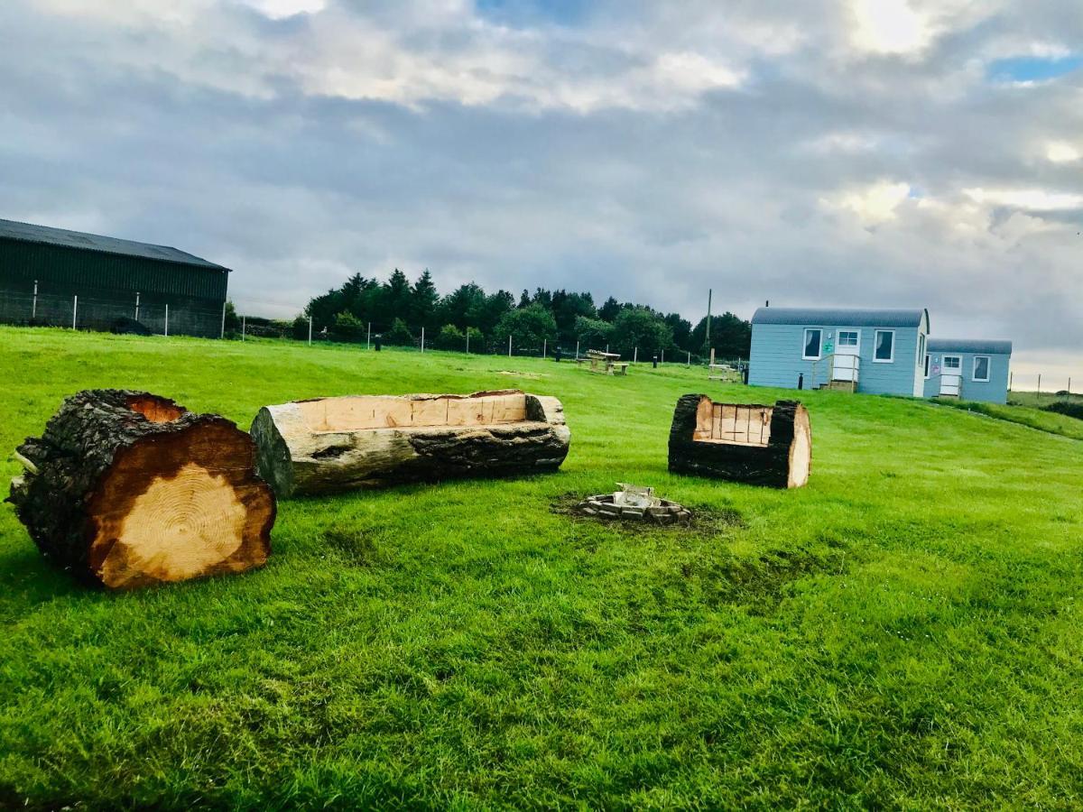 The Beautiful Lazy Llama Shepherd Hut Farm Stay Ballyshannon Bagian luar foto