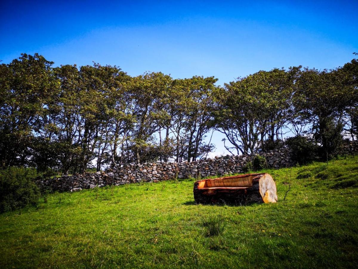 The Beautiful Lazy Llama Shepherd Hut Farm Stay Ballyshannon Bagian luar foto
