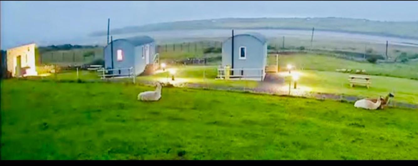 The Beautiful Lazy Llama Shepherd Hut Farm Stay Ballyshannon Bagian luar foto